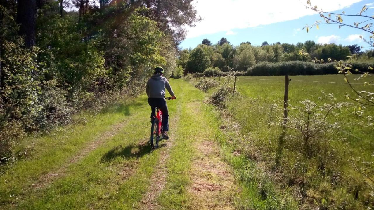Gite Des Gravets Sigalens Экстерьер фото